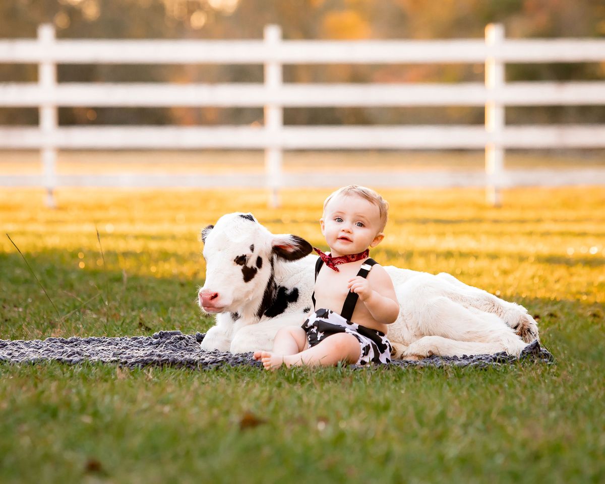 Milestones photography by Desert Rose Prints